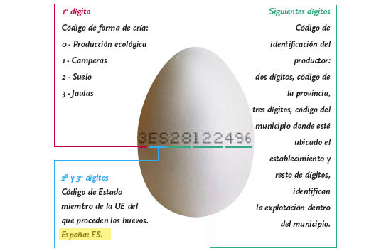 Códigos del huevo